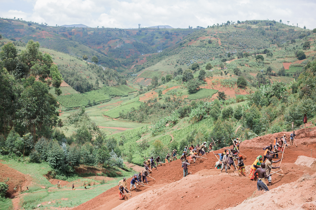 burundi coffee, specialty coffee, long miles coffee project