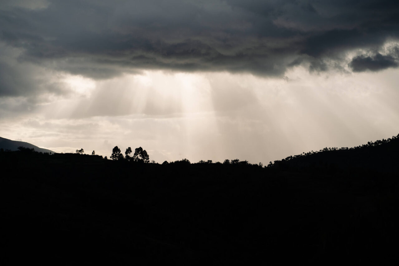 Burundian coffee hills