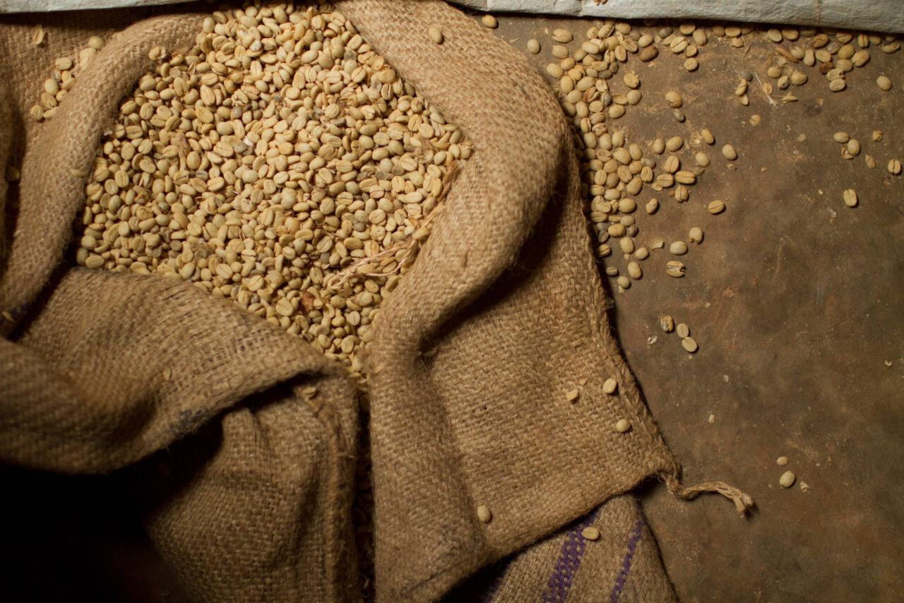 Sack of parchment coffee on the ground