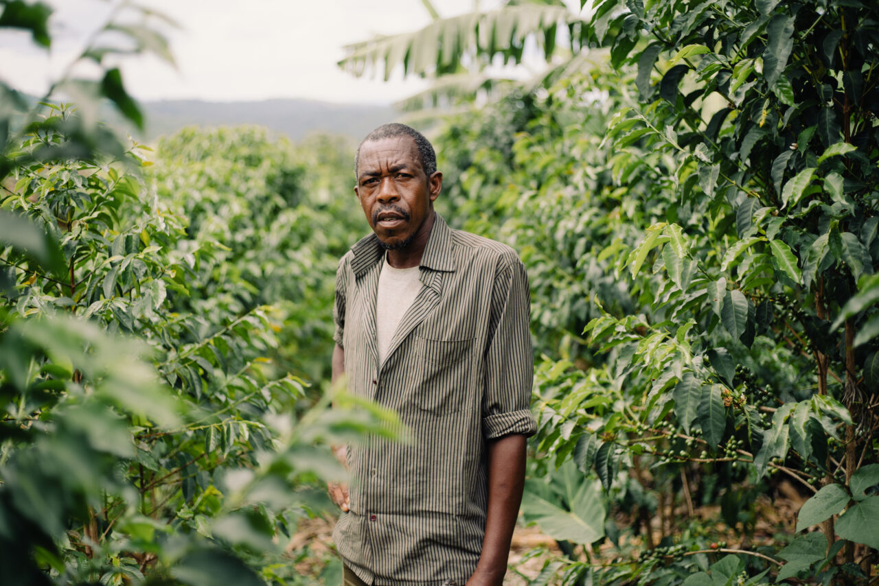 Burundian coffee farmers standing on coffee farm