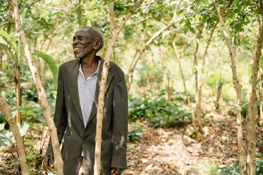 A Burundian coffee farmer standing underneath a coffee tree. 