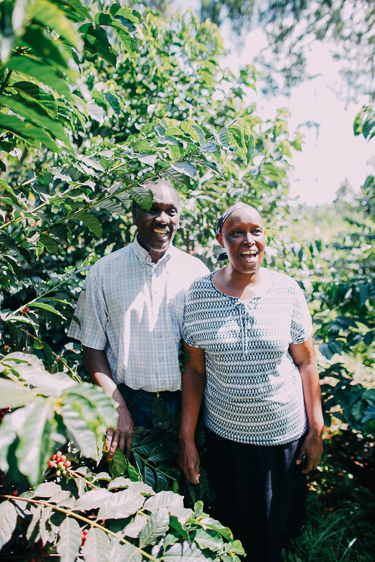 A couple standing among coffee trees on a coffee farm in Kenya