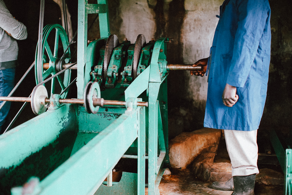 McKinnon depulper at Long Miles Thunguri Coffee Factory in Kirinyaga County, Kenya