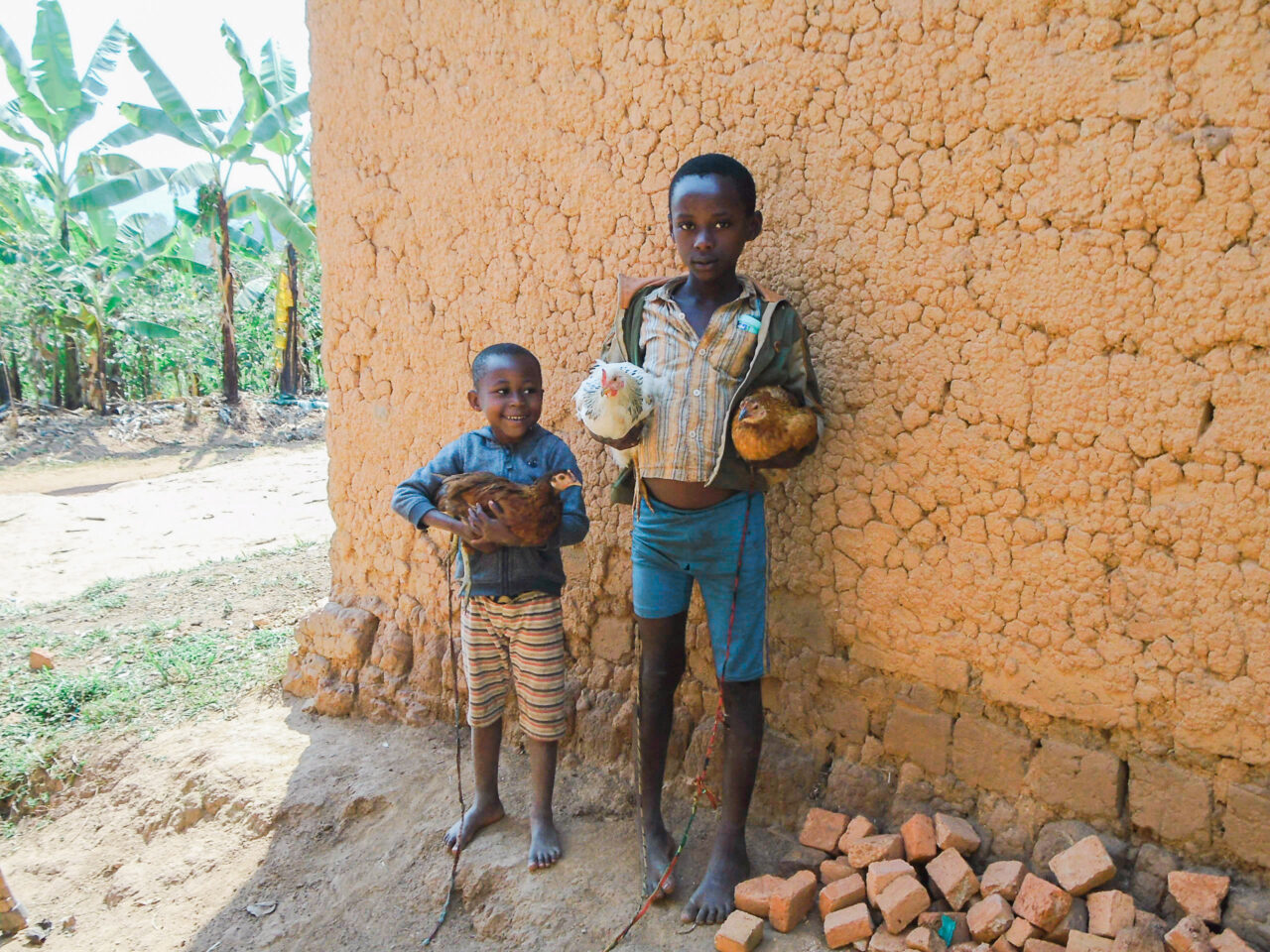 Two young children each holding a chicken under their arms