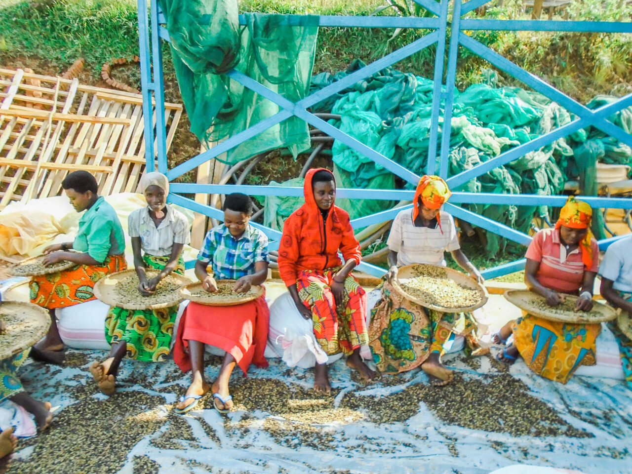 A group of Burundian women sorting coffee at the Long Miles Coffee Washing Station