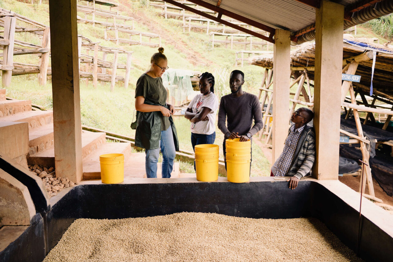 Long Miles Coffee team standing alongside soaking tank with fermenting coffee parchment